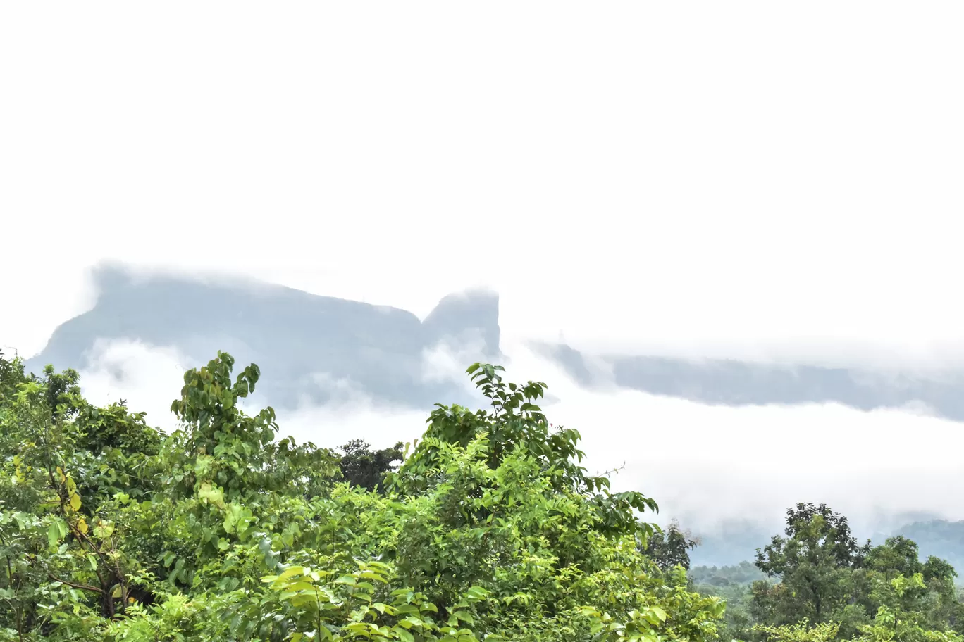 Photo of Malshej Ghat By Tapas Sahu