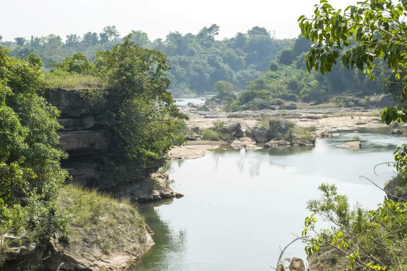 Photo of Gir National Park By Tapas Sahu