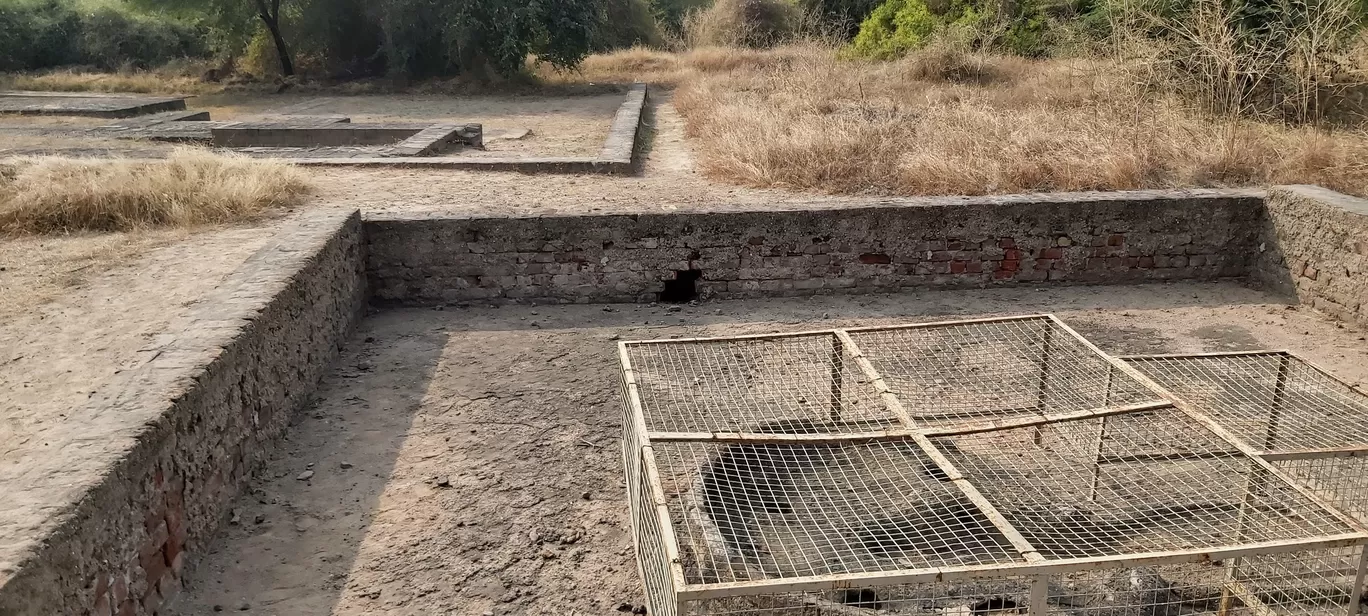 Photo of Archaeological remains of a Harappa Port-Town By Tapas Sahu