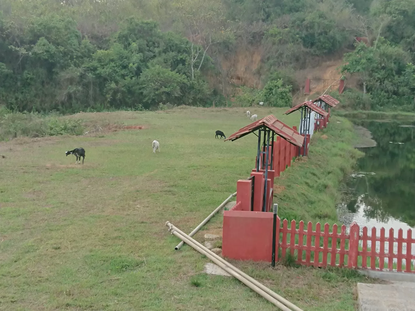 Photo of Abbydhama Estate Stay By travelmommy_travelbaby 