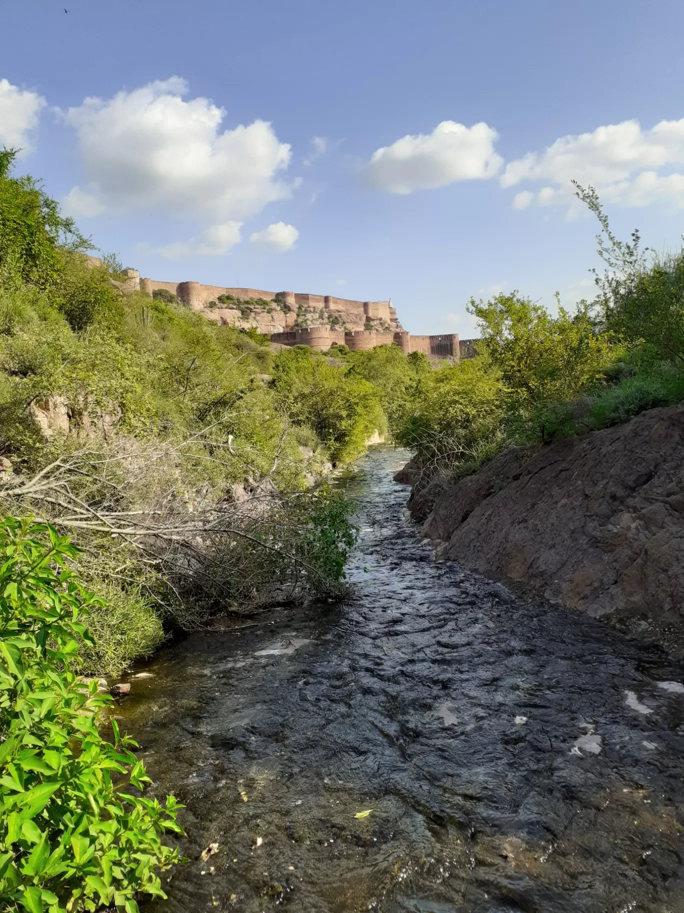 Photo of Jodhpur By Travellers Zest