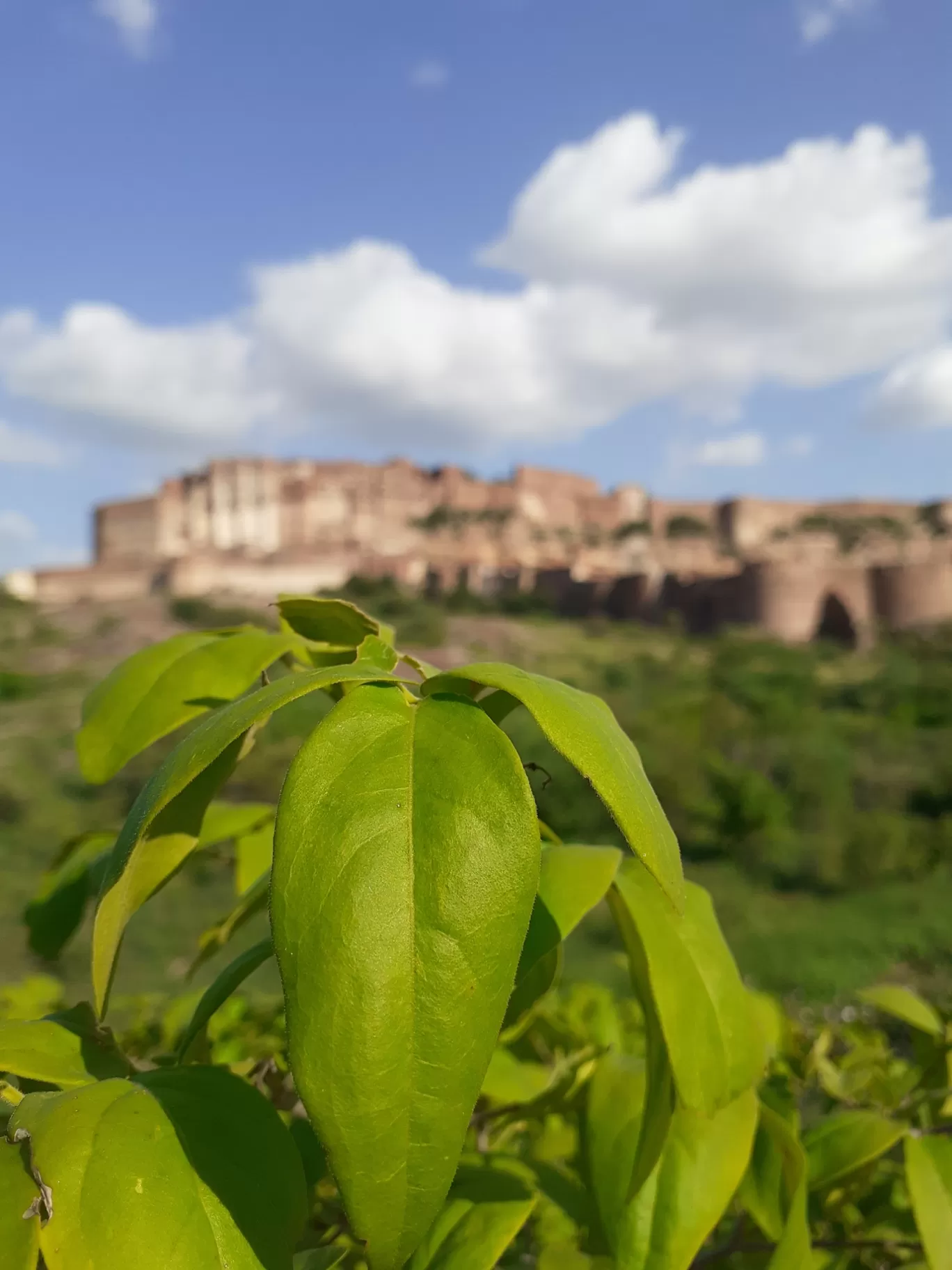 Photo of Jodhpur By Travellers Zest