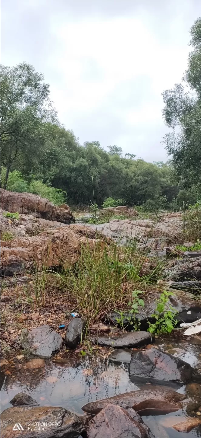 Photo of polo forest himmatnagar By Karan Shah