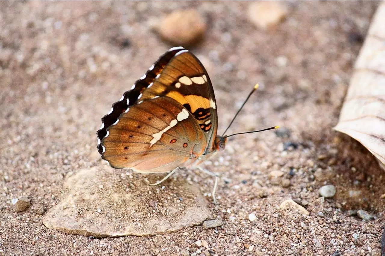 Photo of polo forest himmatnagar By Karan Shah