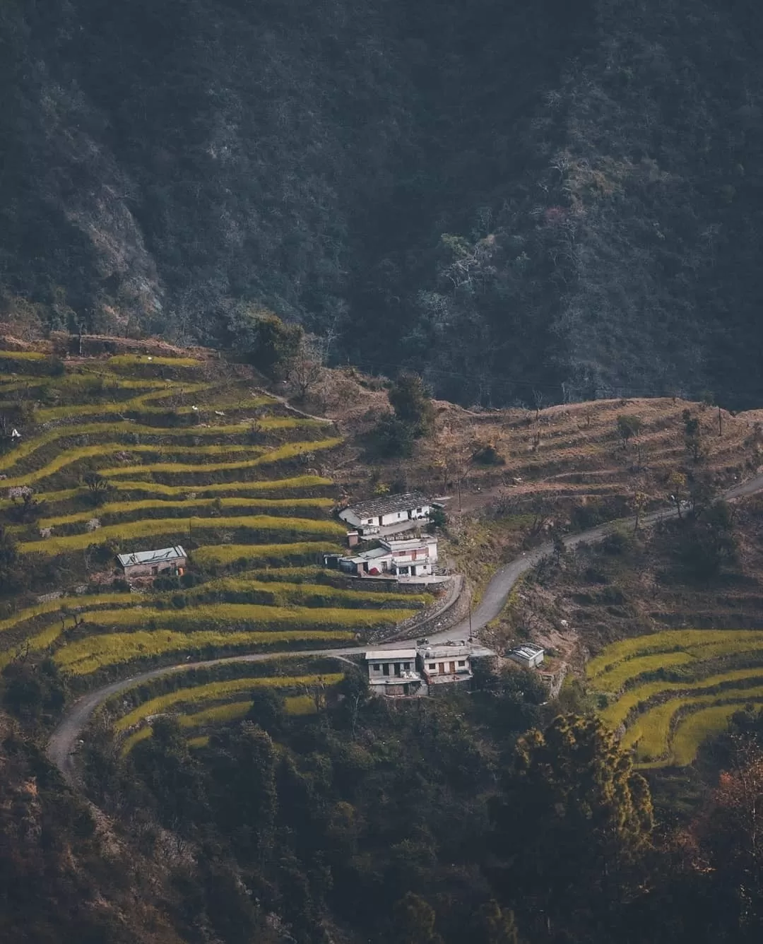 Photo of Uttarakhand By Divya Bhatt | Digital creator