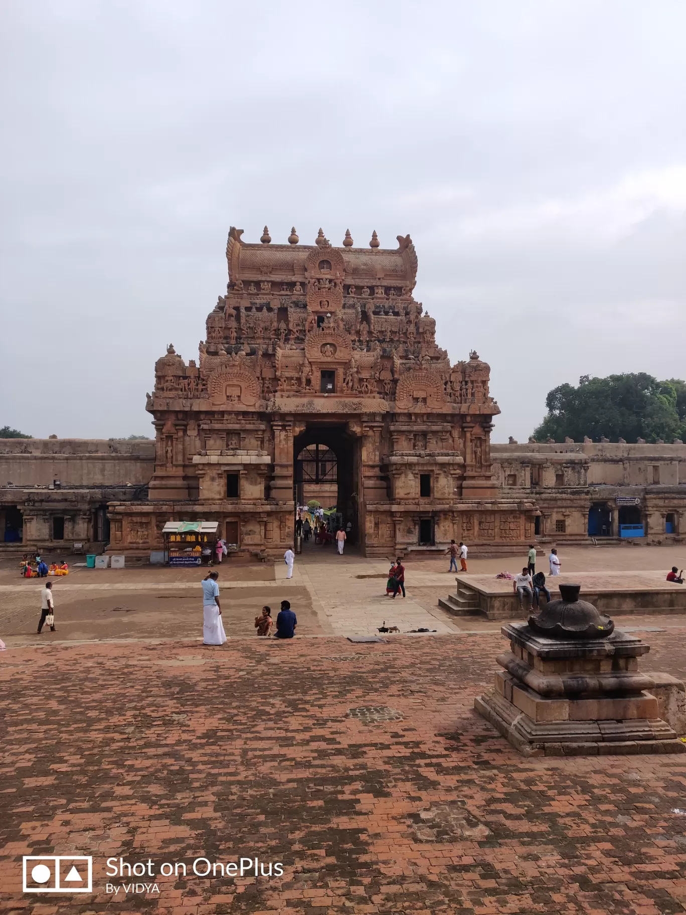 Photo of Tanjore By vidya v