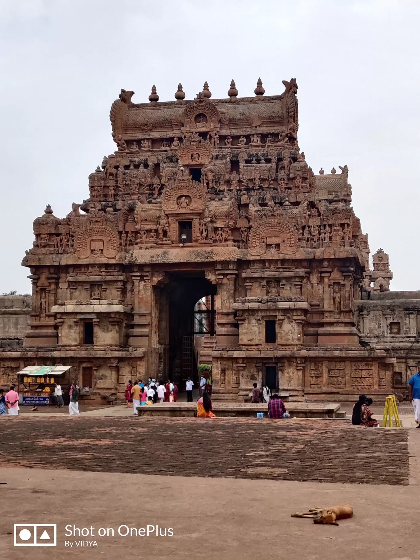 Photo of Tanjore By vidya v