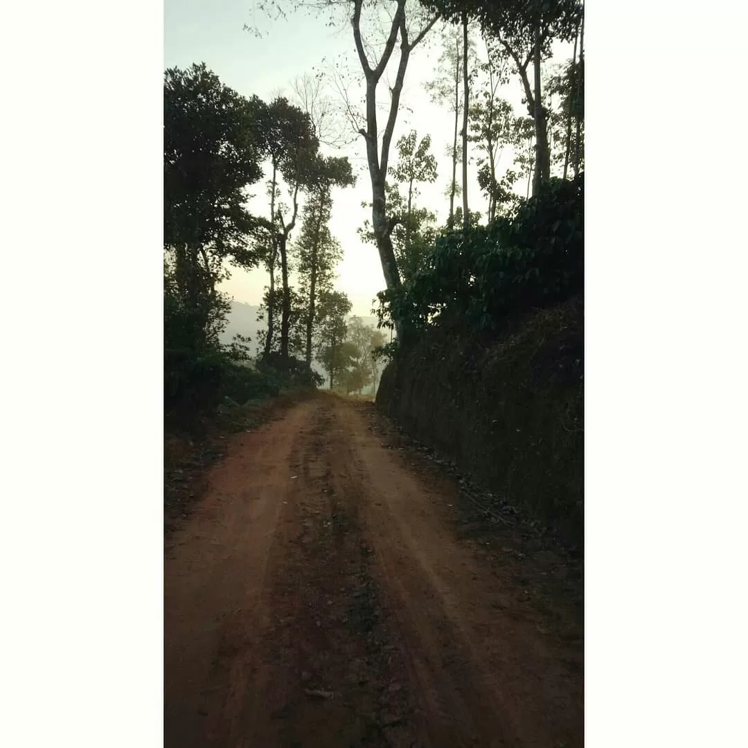 Photo of Sakleshpur By Srinidhi JN