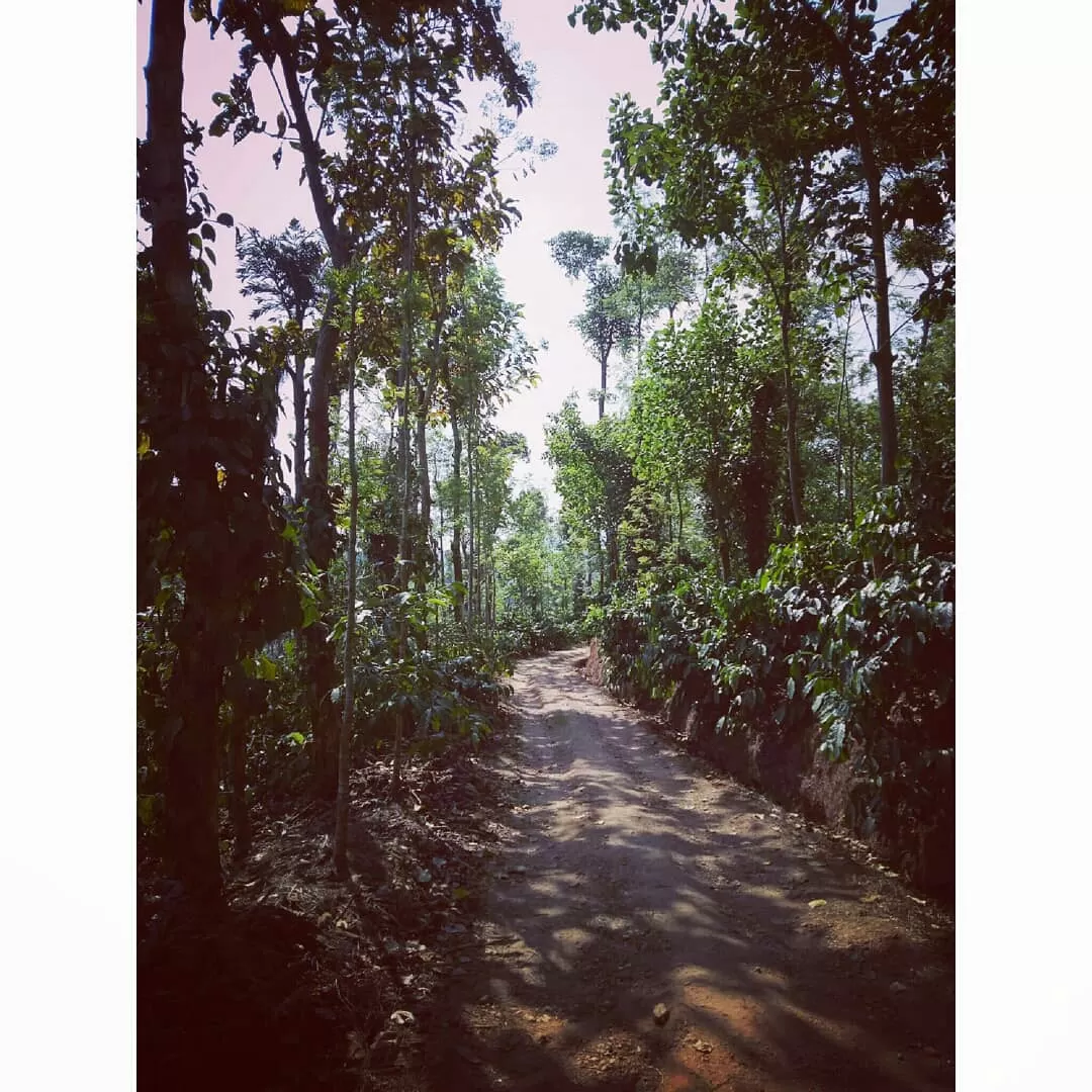 Photo of Sakleshpur By Srinidhi JN
