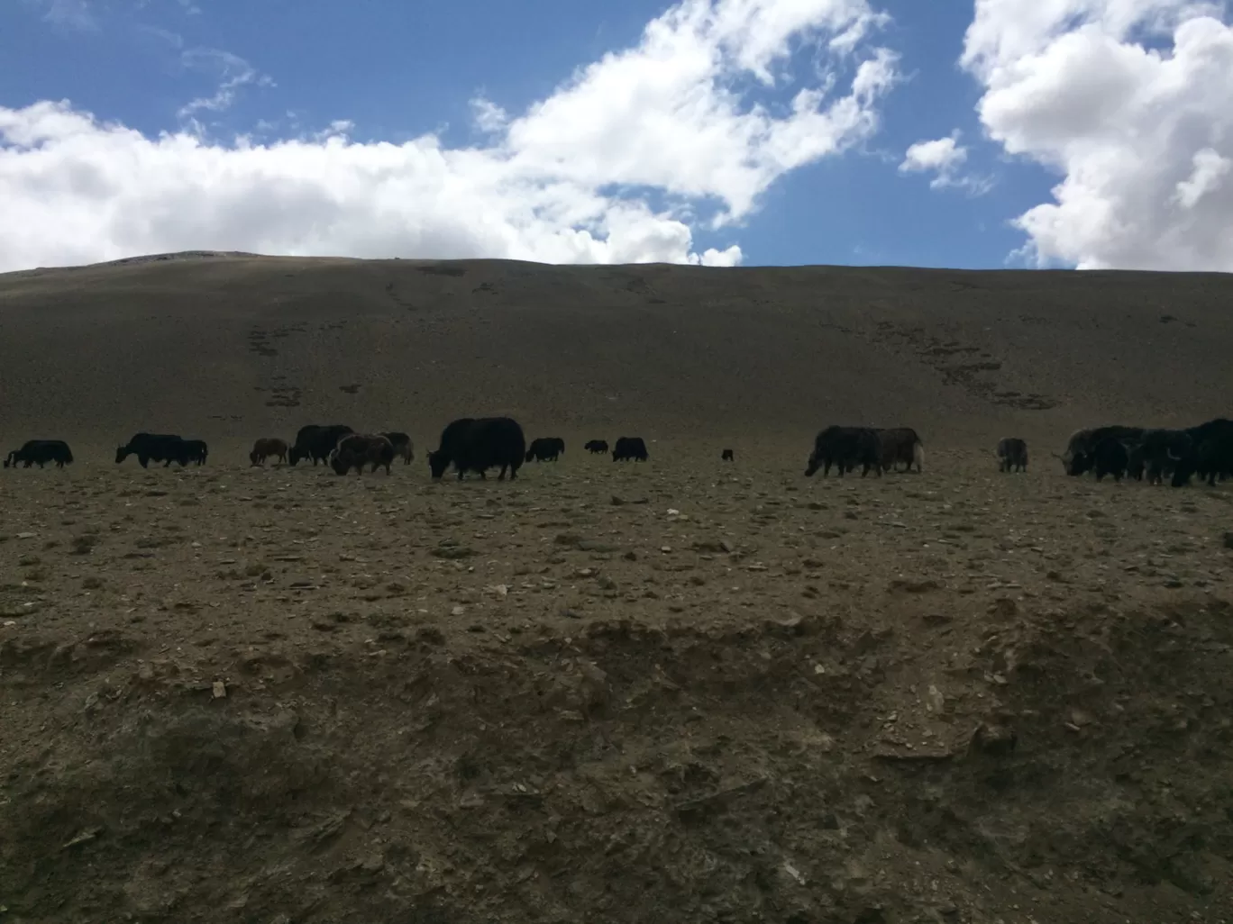Photo of Ladakh By Mady Vishu