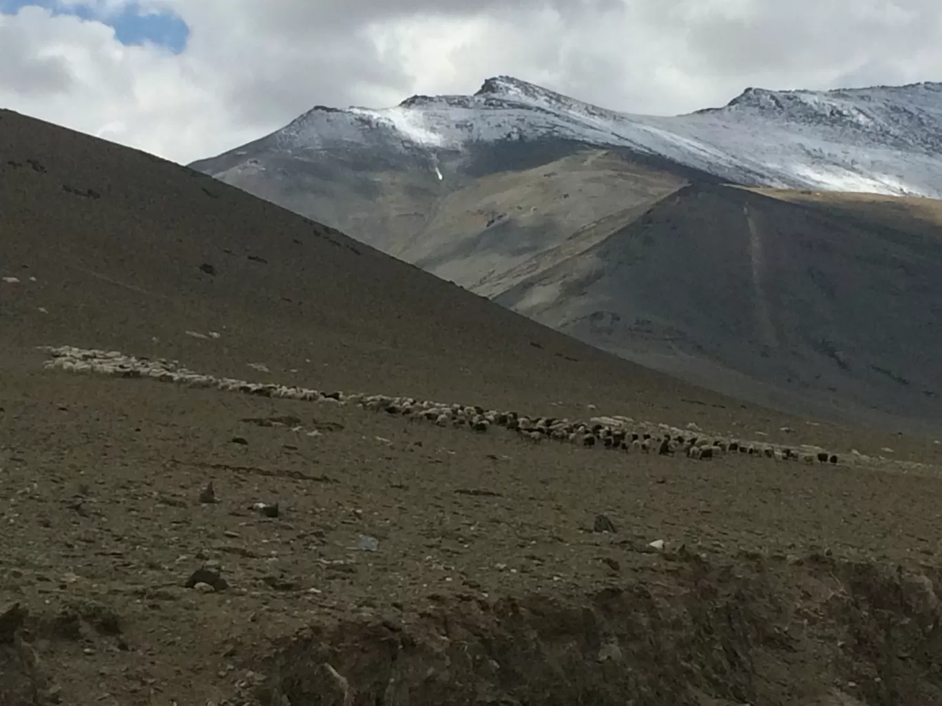 Photo of Ladakh By Mady Vishu