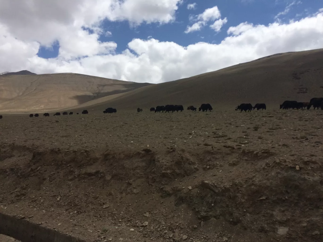 Photo of Ladakh By Mady Vishu