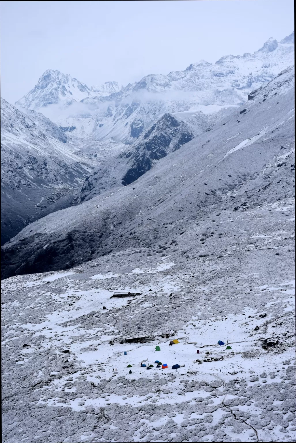Photo of Goecha La Trek By Abhik Ghosh