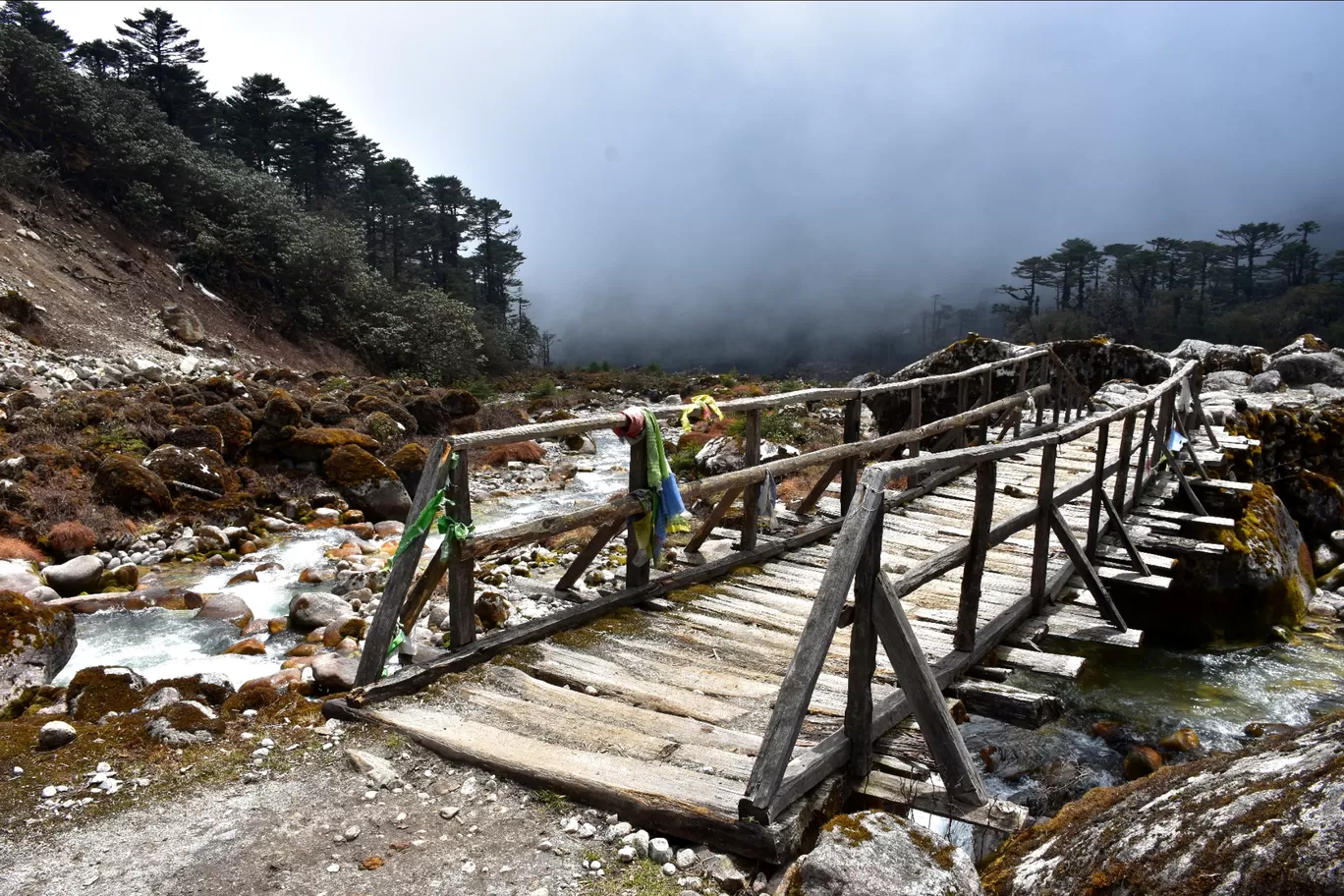 Photo of Goecha La Trek By Abhik Ghosh