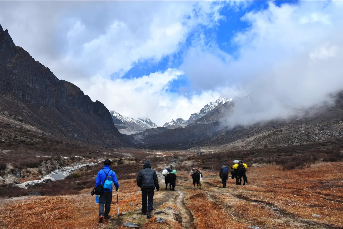 Photo of Goecha La Trek By Abhik Ghosh