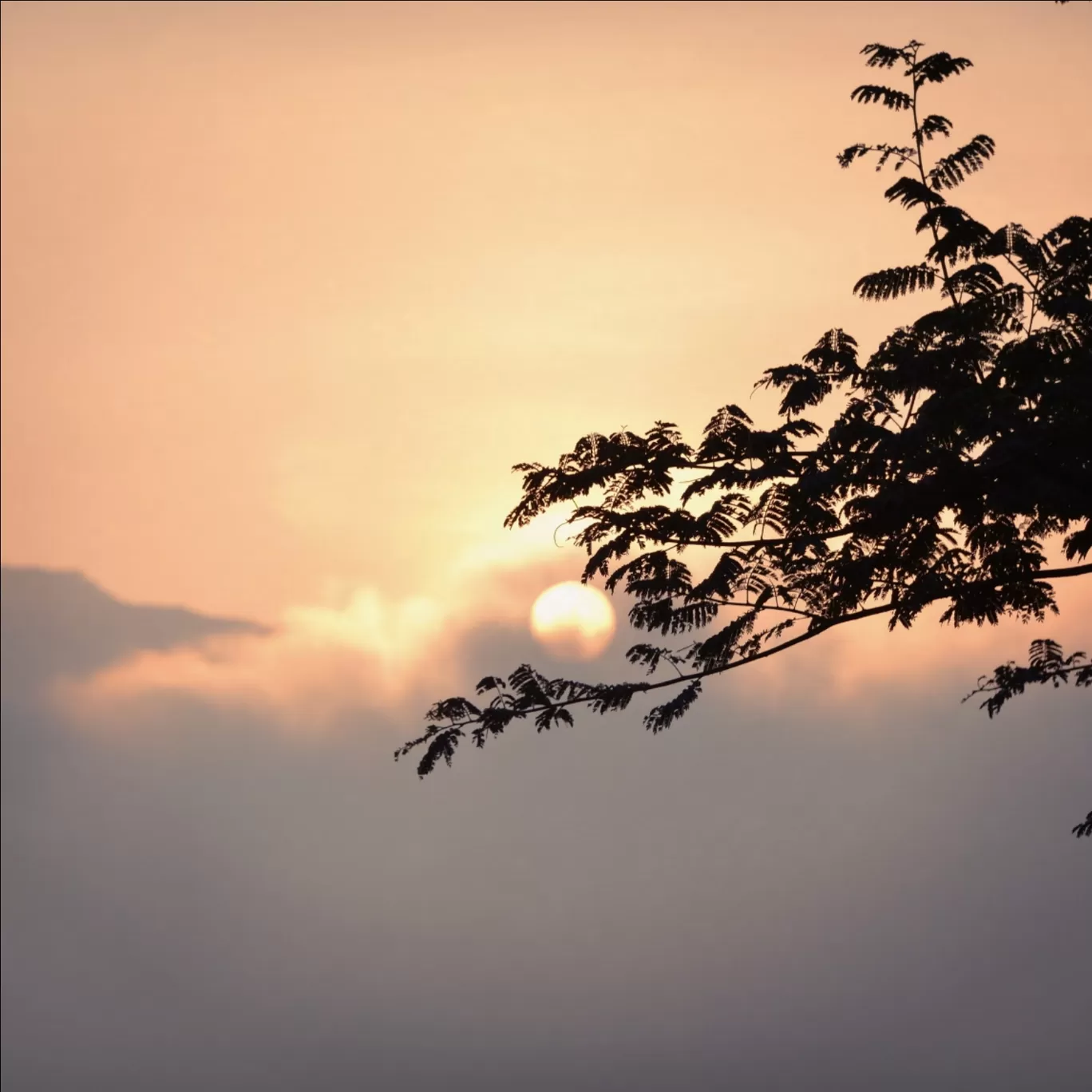 Photo of Dandiganahalli Dam By Vivek Raj