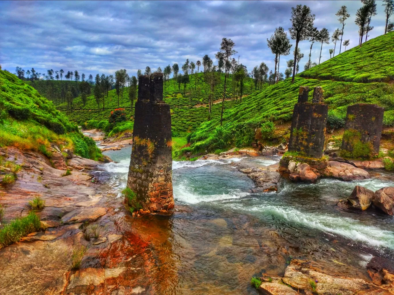 Photo of Sholayar Dam City By Seruvalingam V S