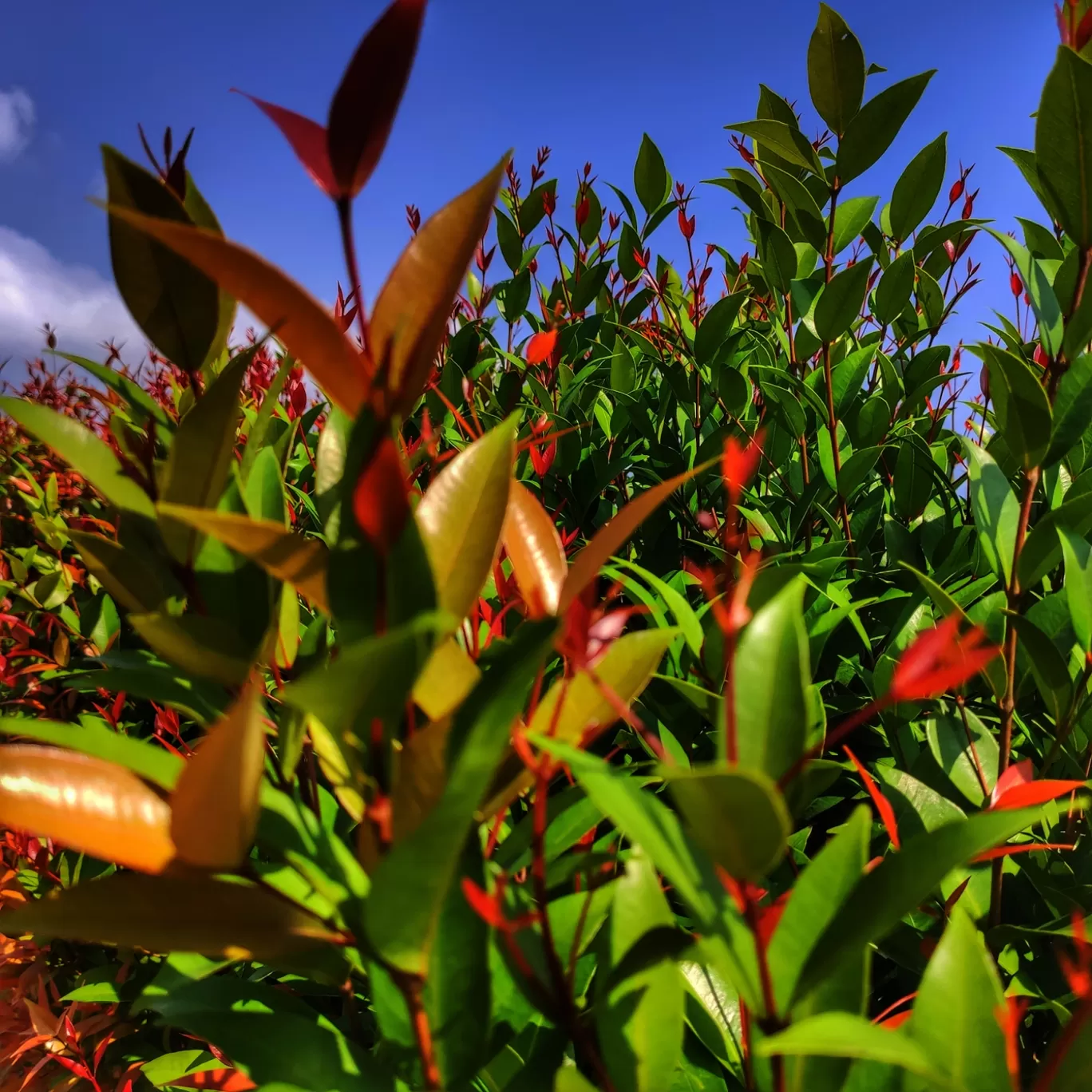 Photo of Marshland Cricket Academy By Seruvalingam V S