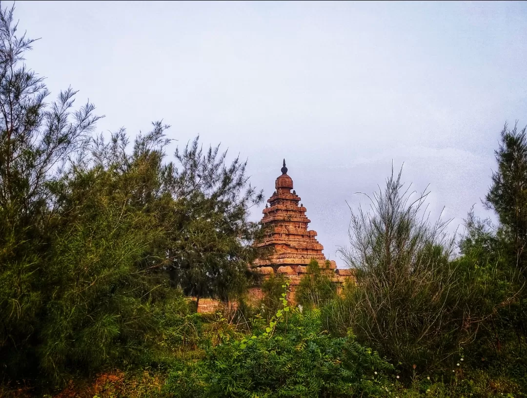 Photo of Shore Temple By Seruvalingam V S