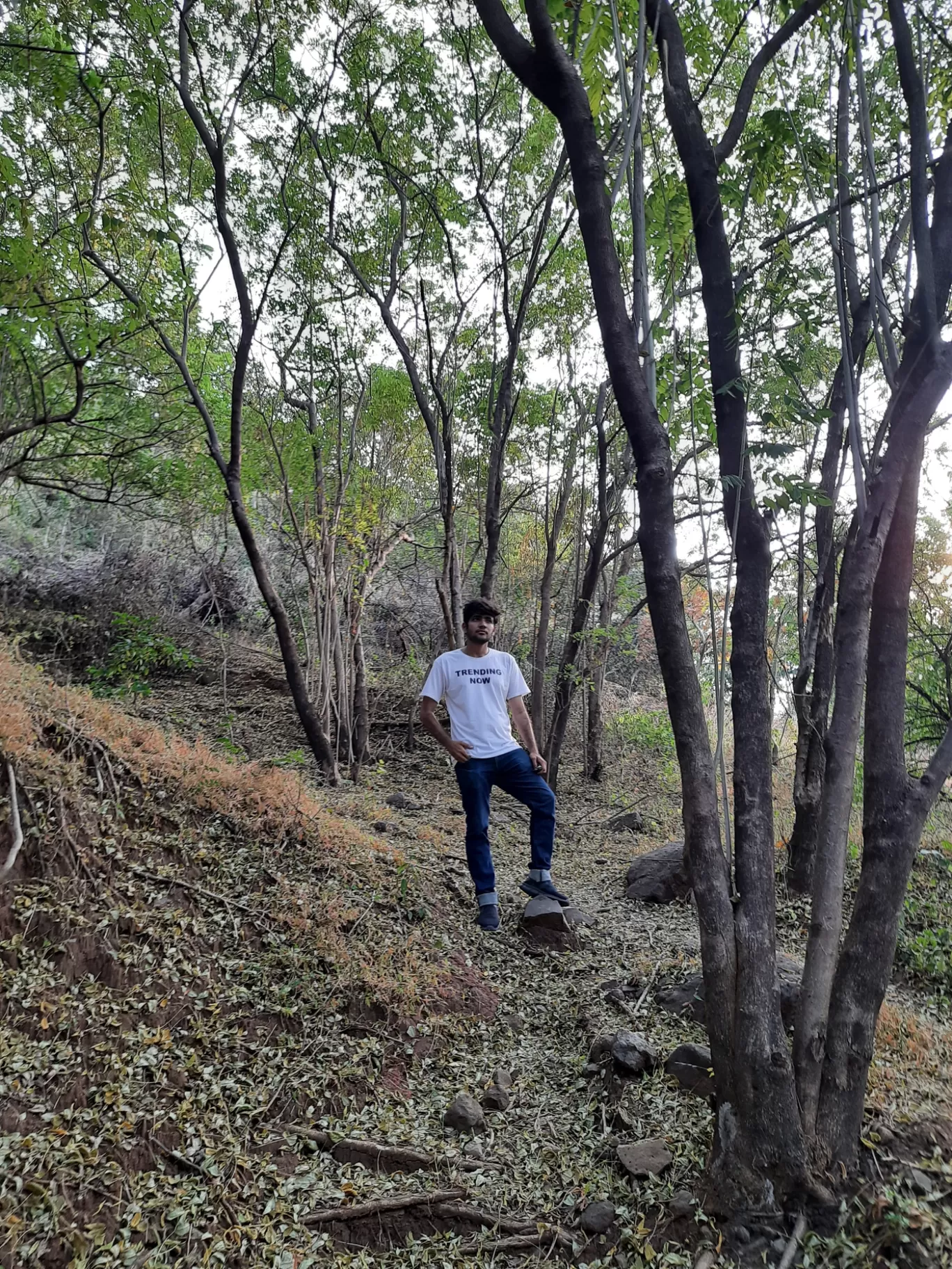 Photo of Ralamandal By Jayant Vatsva