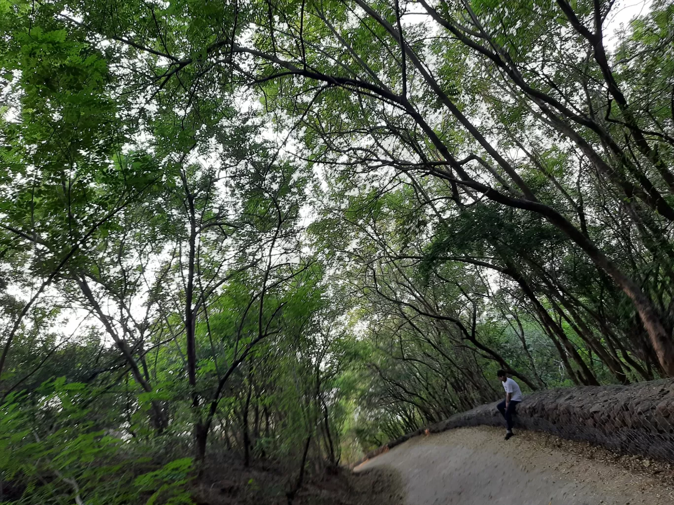 Photo of Ralamandal By Jayant Vatsva