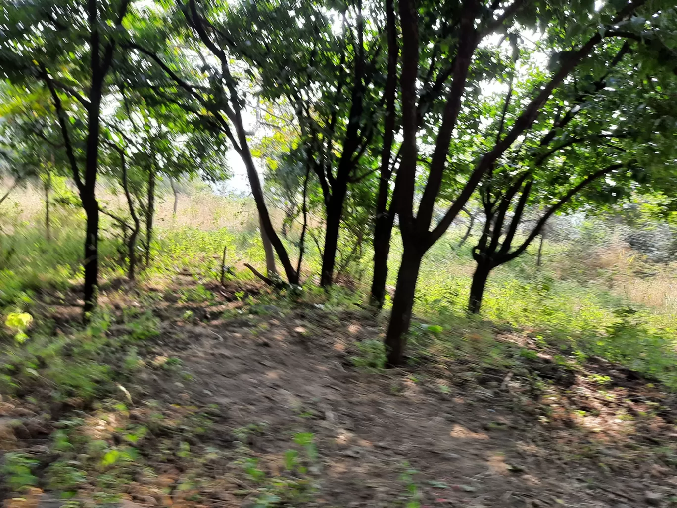 Photo of Ralamandal By Jayant Vatsva