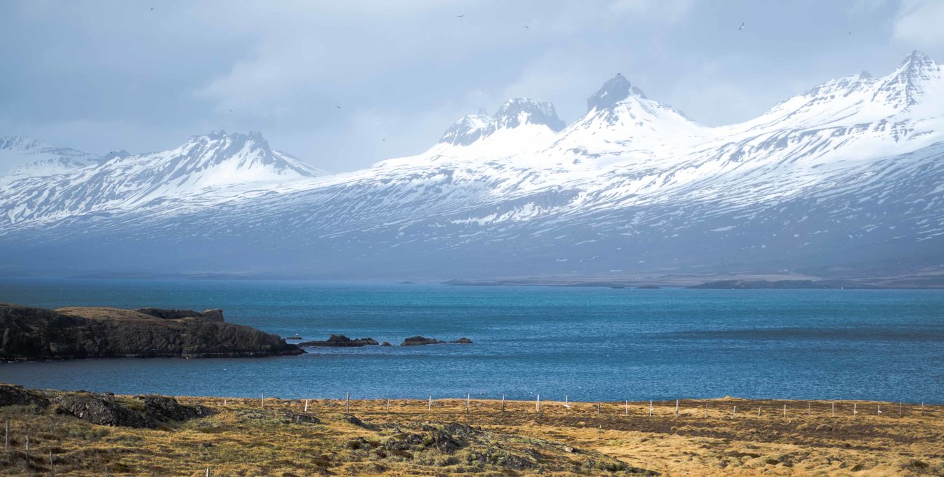 Photo of Great Icelandic Roadtrip By Priyakanth Manda
