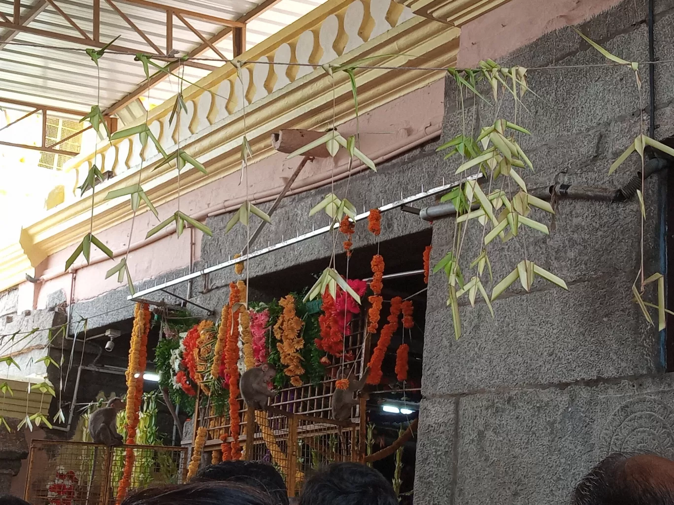Photo of Chamundi Hill By Sheena Madathil