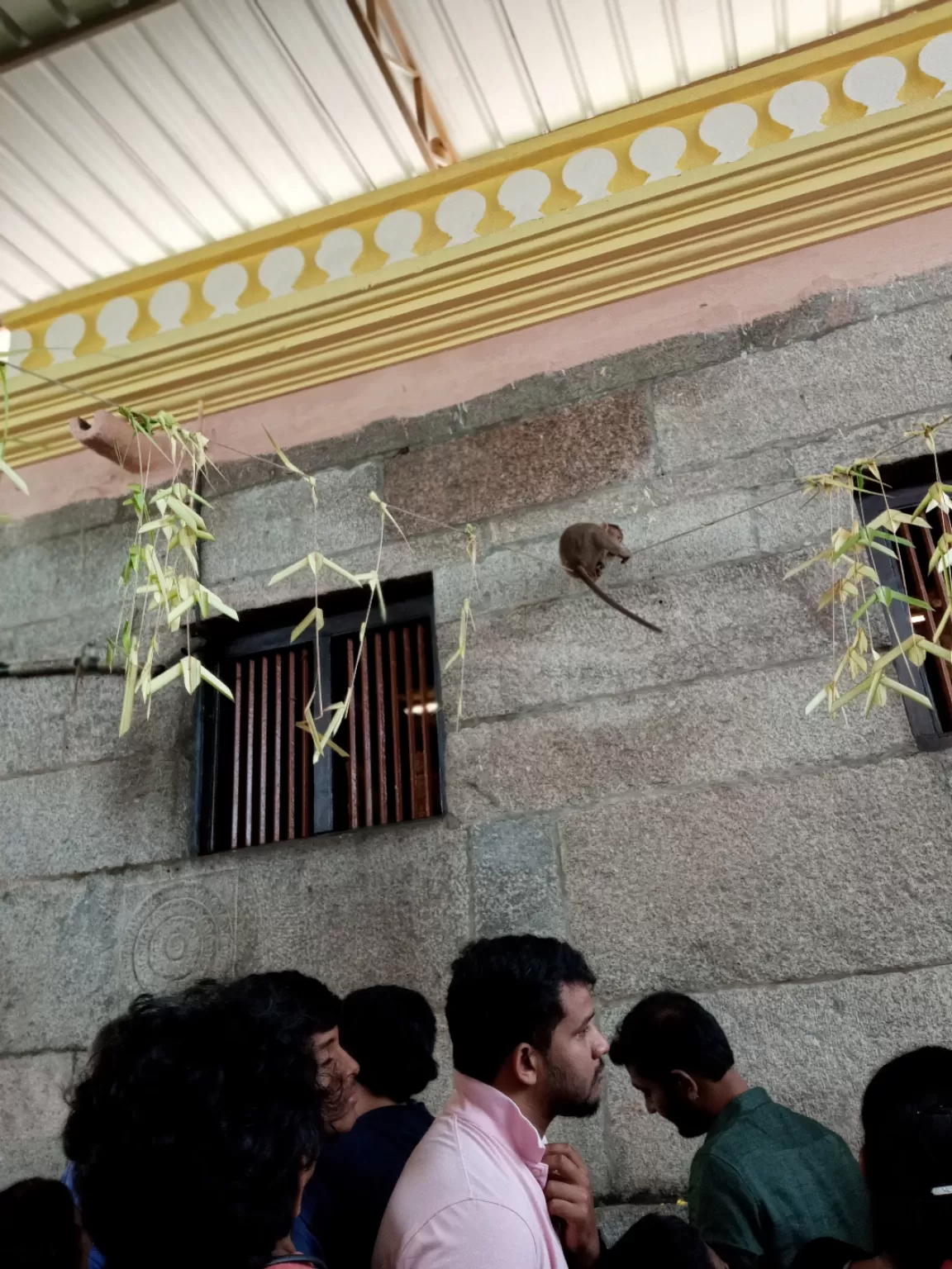 Photo of Chamundi Hill By Sheena Madathil