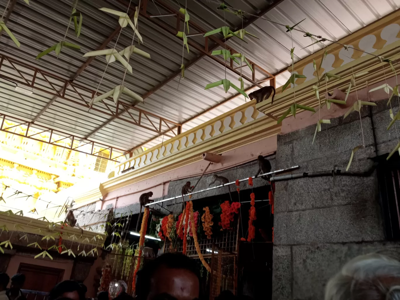 Photo of Chamundi Hill By Sheena Madathil