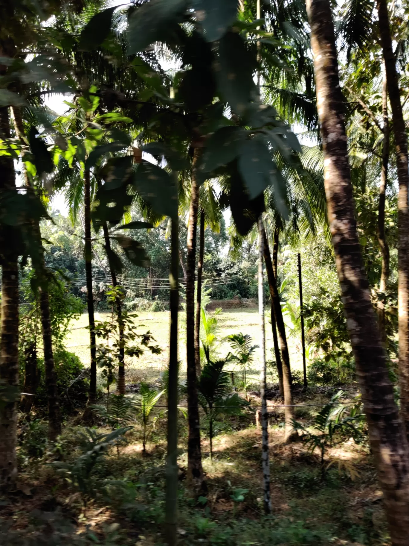 Photo of Vengurla By Arjun Gode