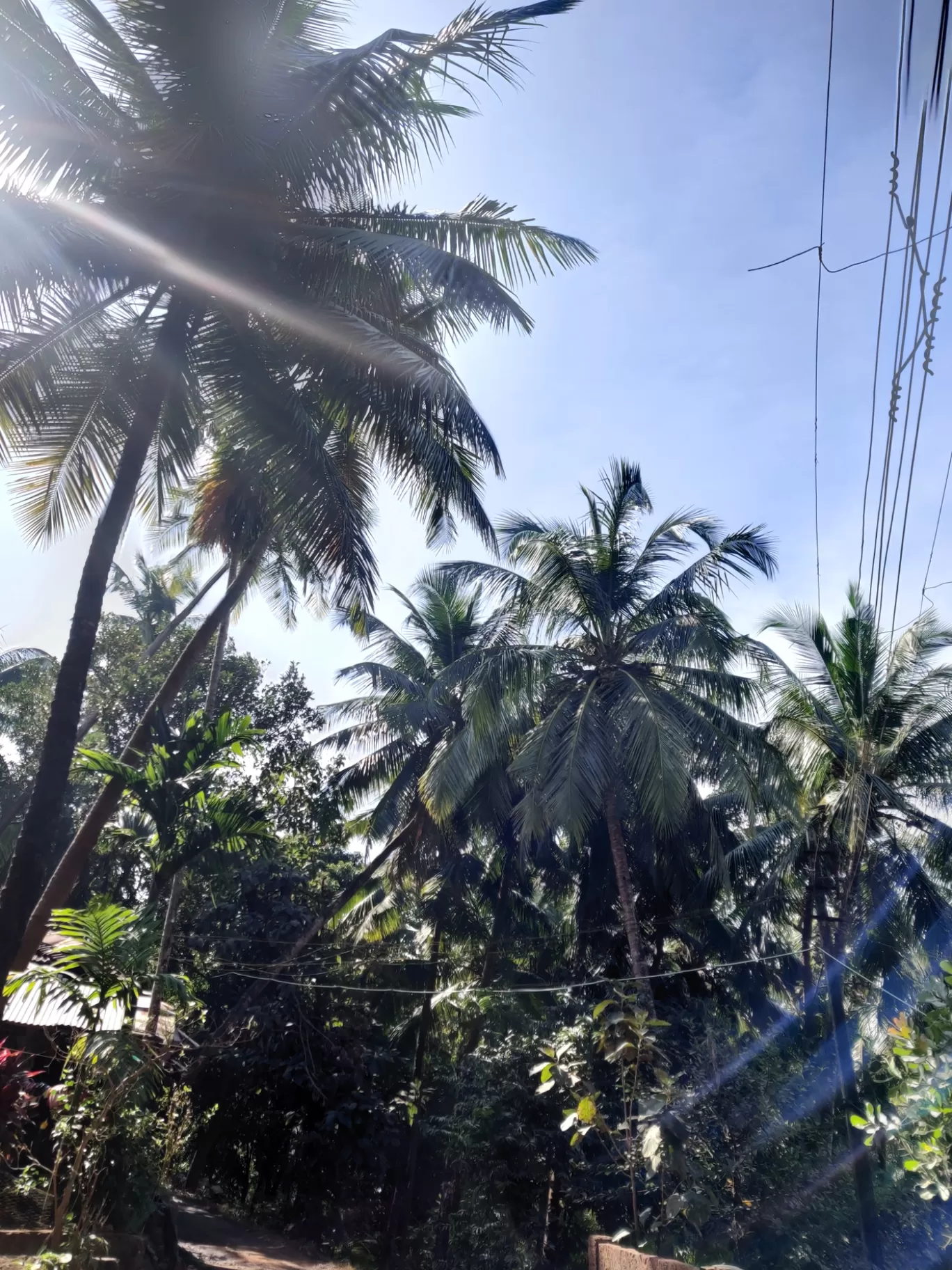 Photo of Vengurla By Arjun Gode