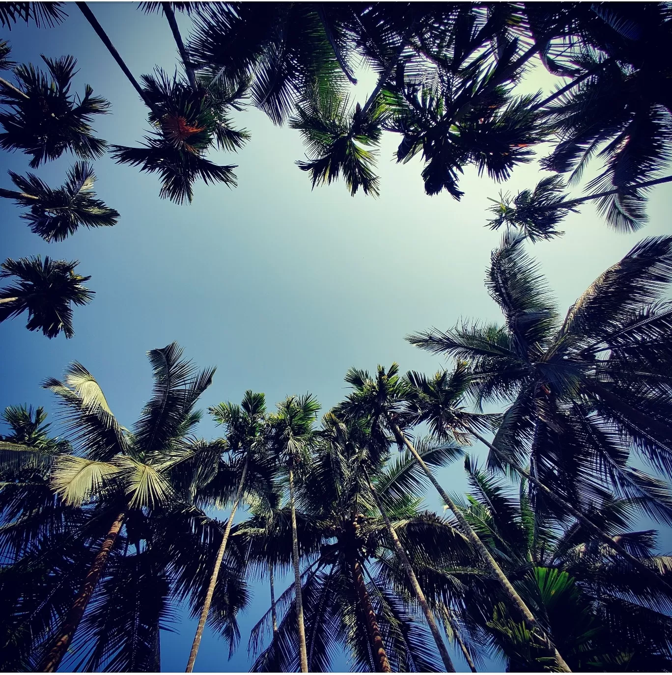 Photo of Vengurla By Arjun Gode