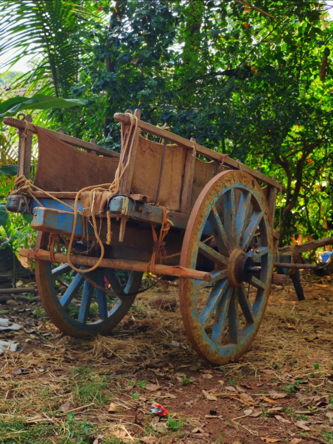 Photo of Vengurla By Arjun Gode