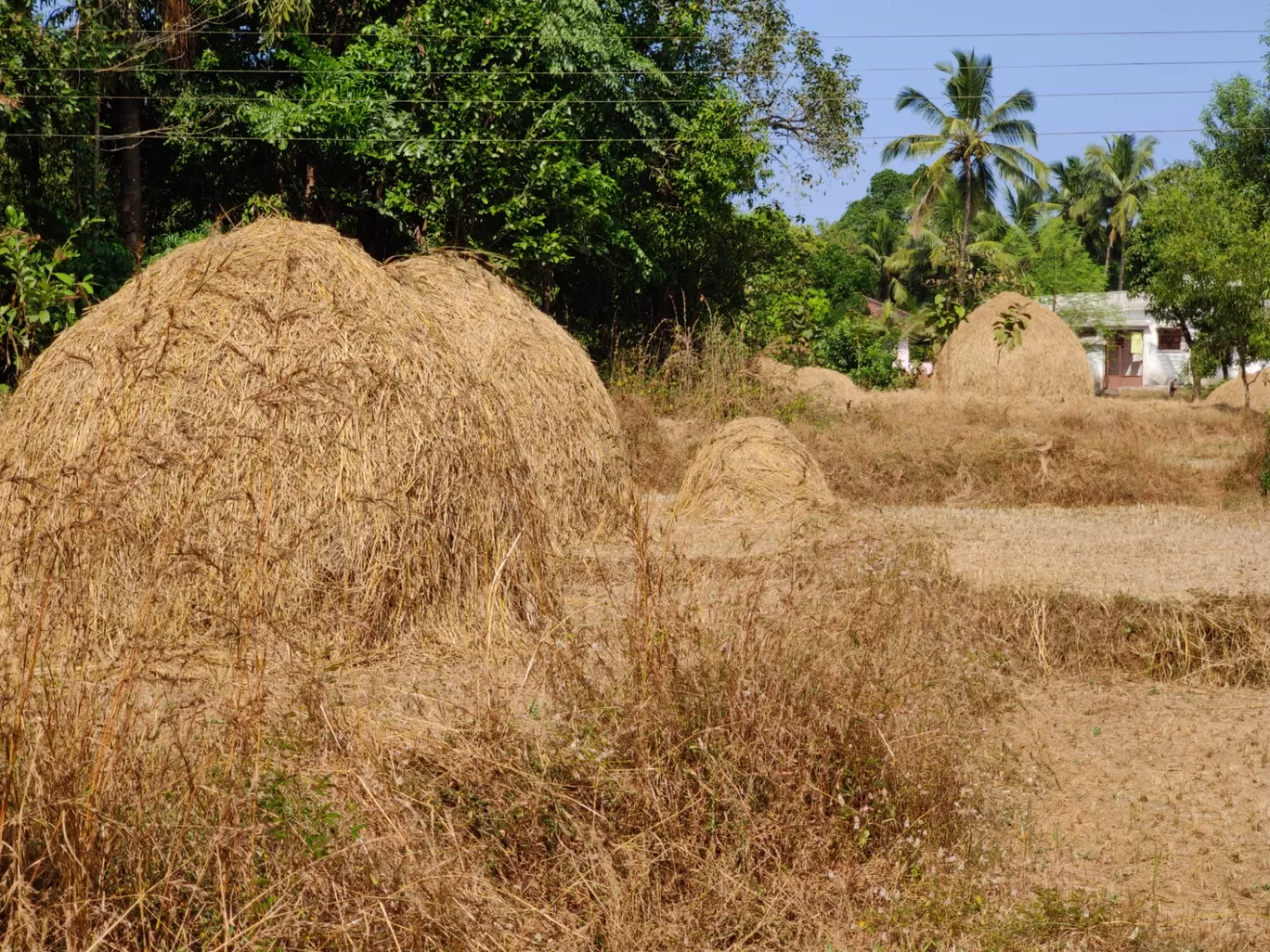 Photo of Vengurla By Arjun Gode