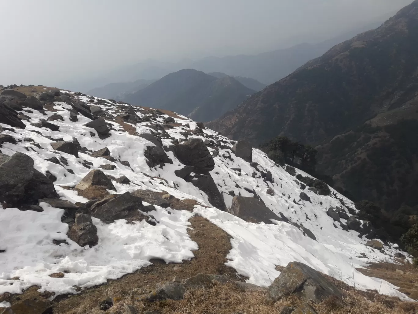 Photo of Triund By Vaibhav Sharma