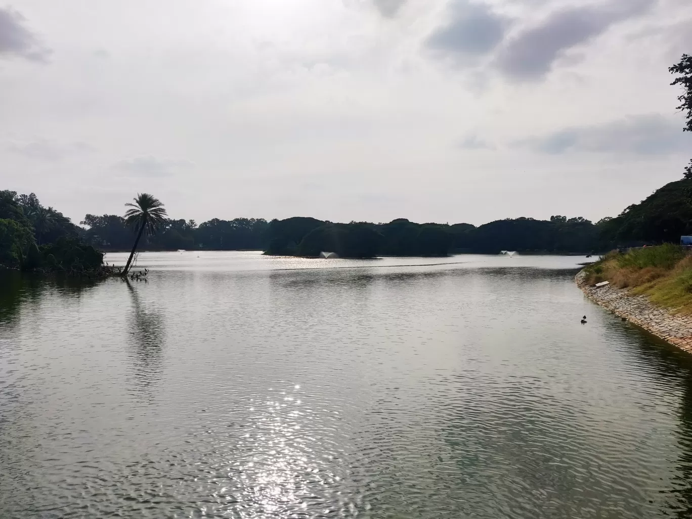 Photo of Lalbagh Botanical Garden By Shankar PB