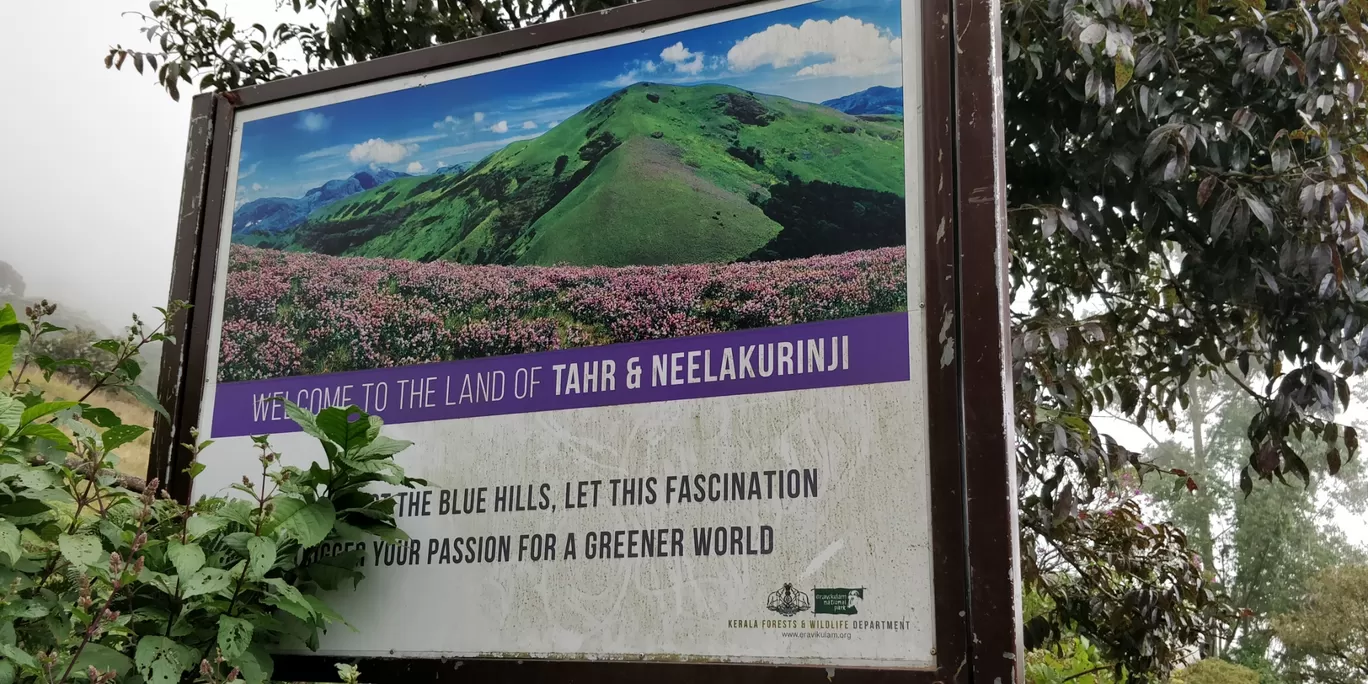 Photo of Munnar By aditya bagri