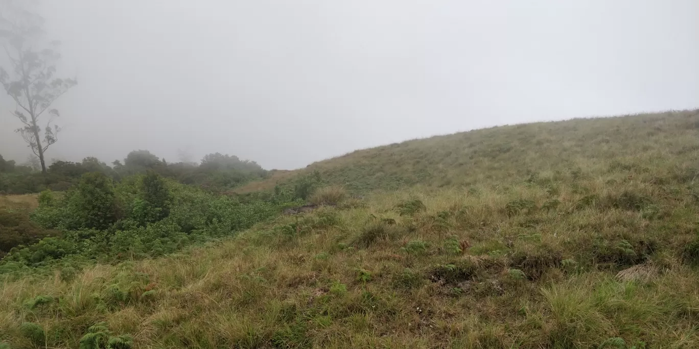 Photo of Munnar By aditya bagri