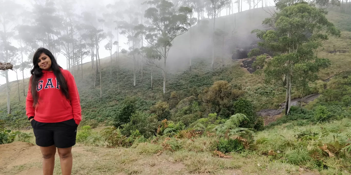 Photo of Munnar By aditya bagri