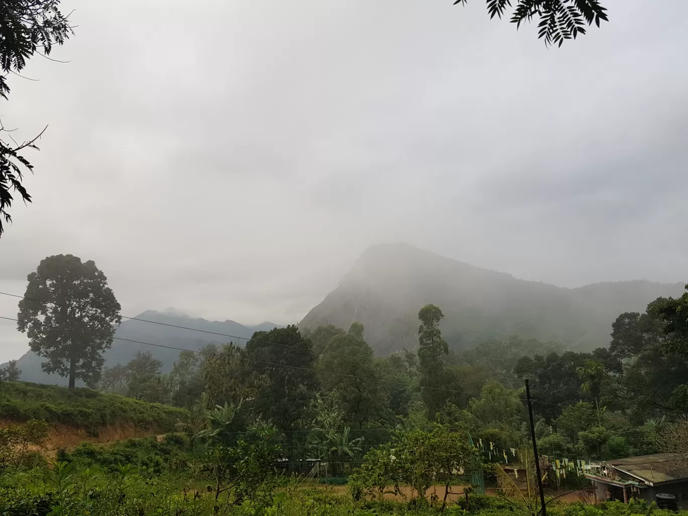 Photo of Nuwara Eliya By saayo