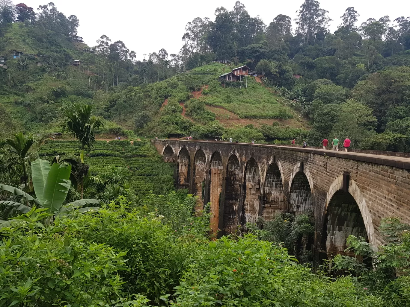 Photo of Nuwara Eliya By saayo
