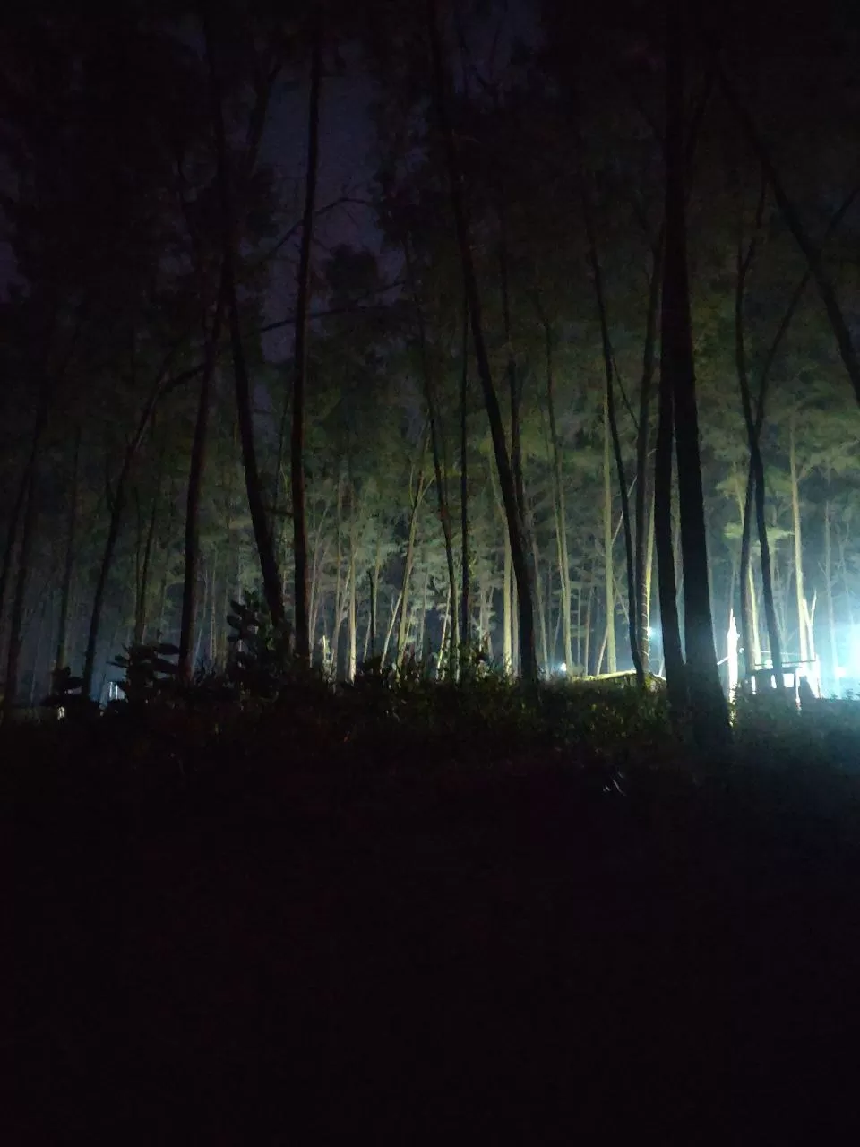 Photo of Nagaon Beach By VALLARI MISTRY