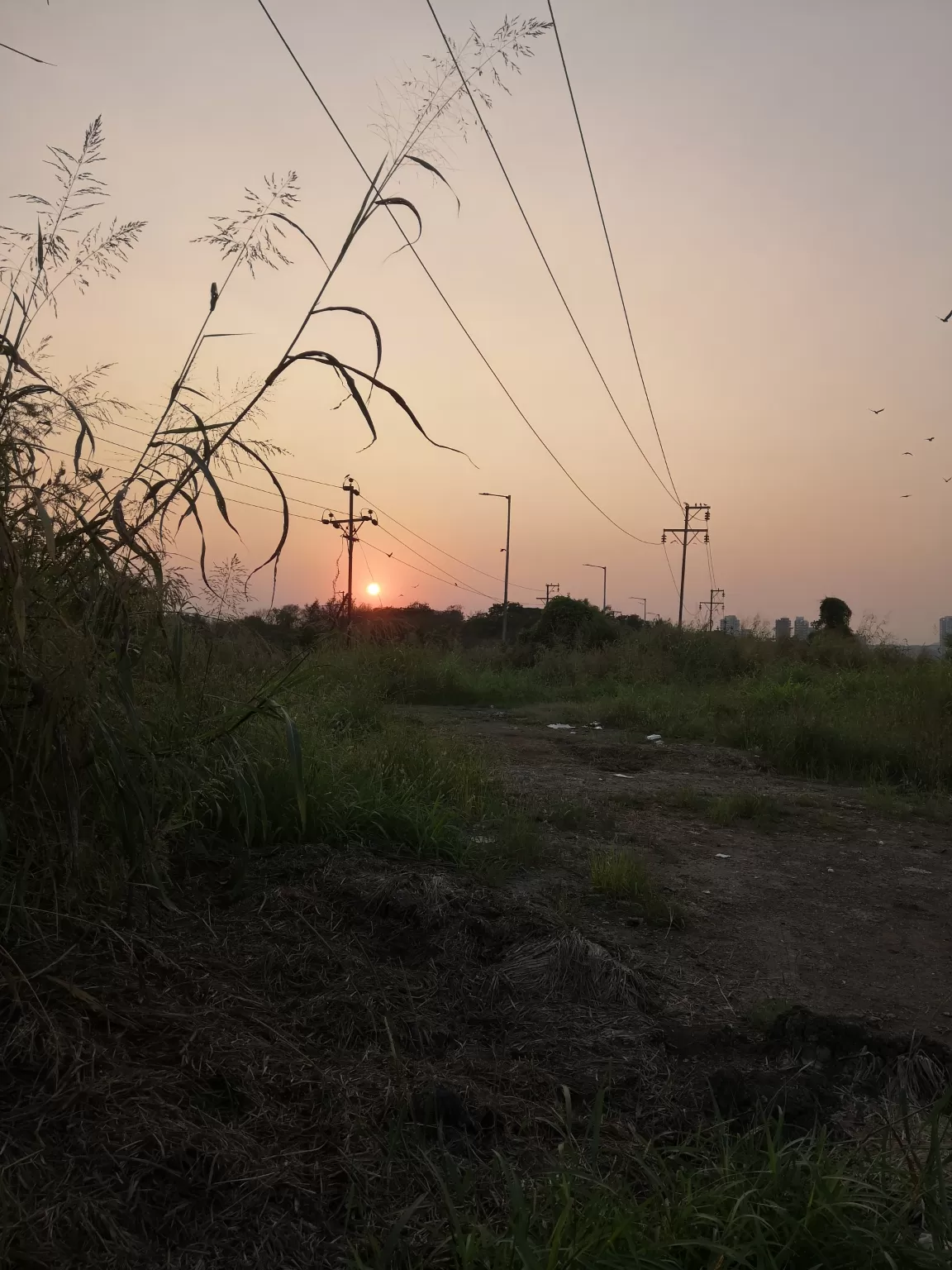 Photo of Bhandup Pumping Station Bus Stop By VALLARI MISTRY