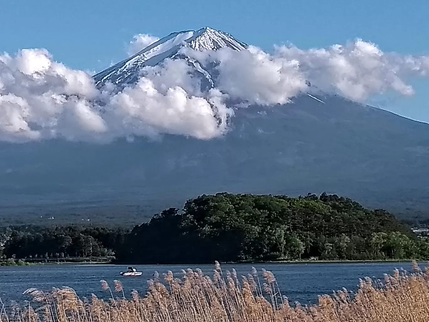 Photo of Japan By Jayashree Nagaraj