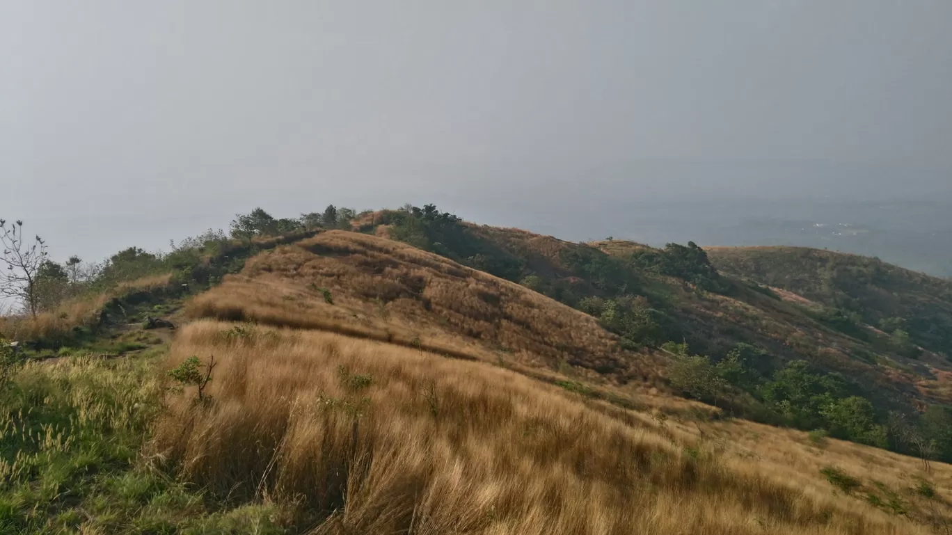 Photo of kodikuthimala View Point By Gokul Santhosh