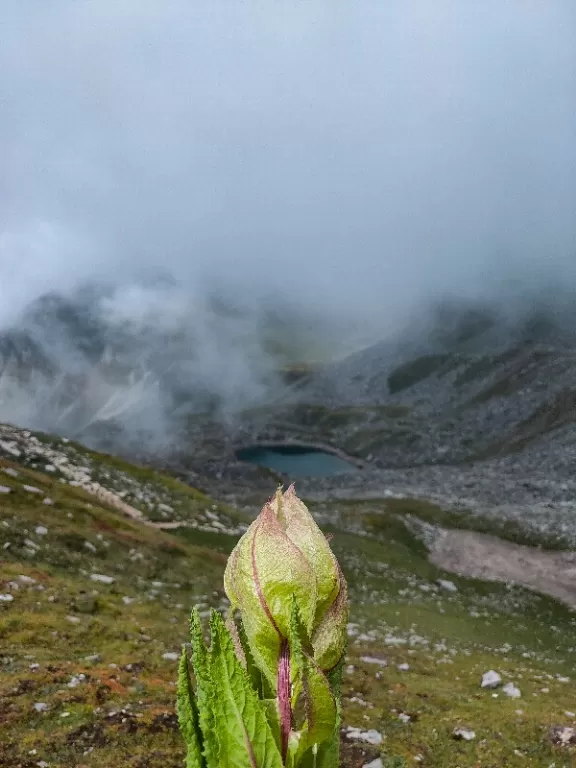 Photo of Sarutal Trek By Shivam Rana