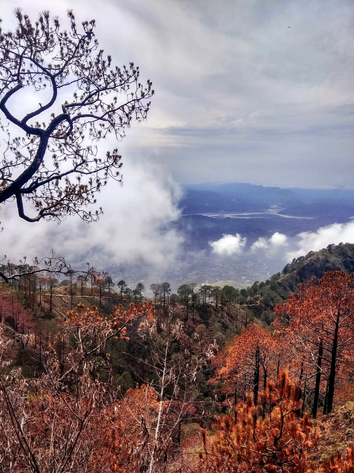 Photo of Jammu By Random_Rum
