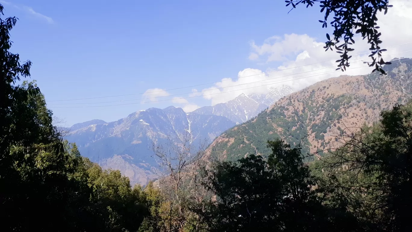 Photo of Triund By Rajat kumar