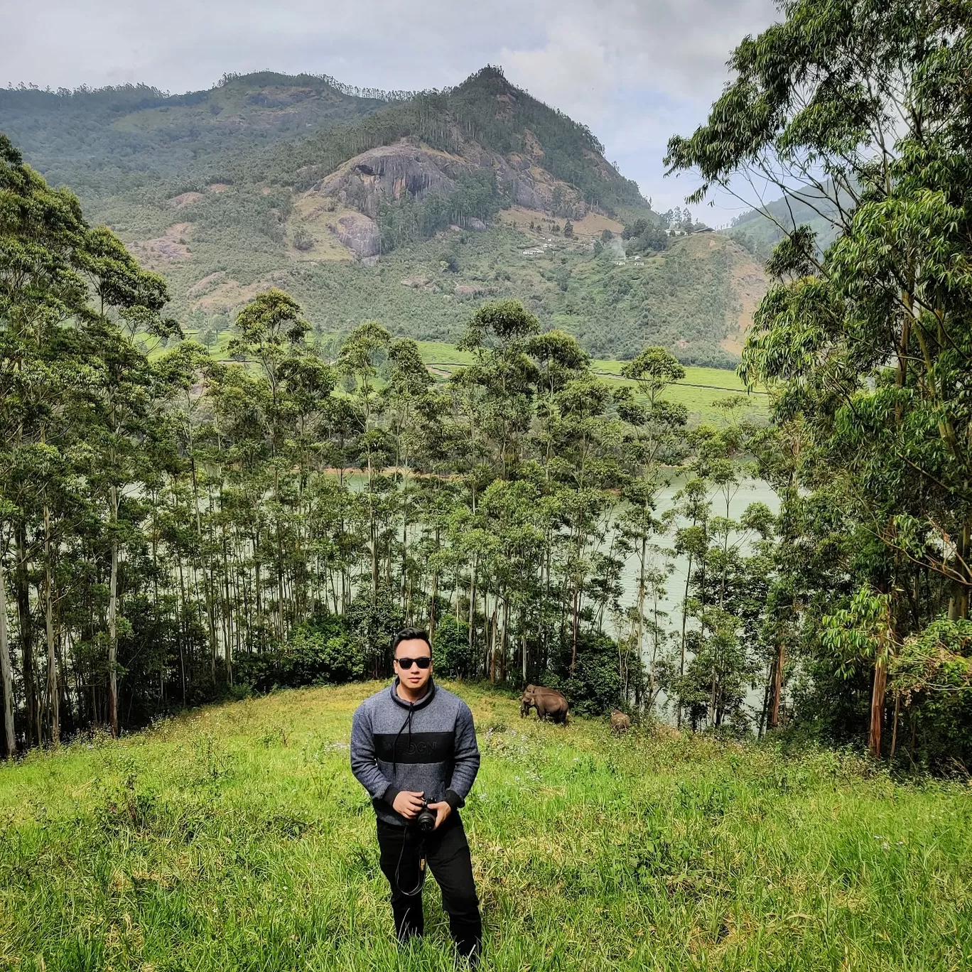 Photo of Munnar By Biswambar Hojai